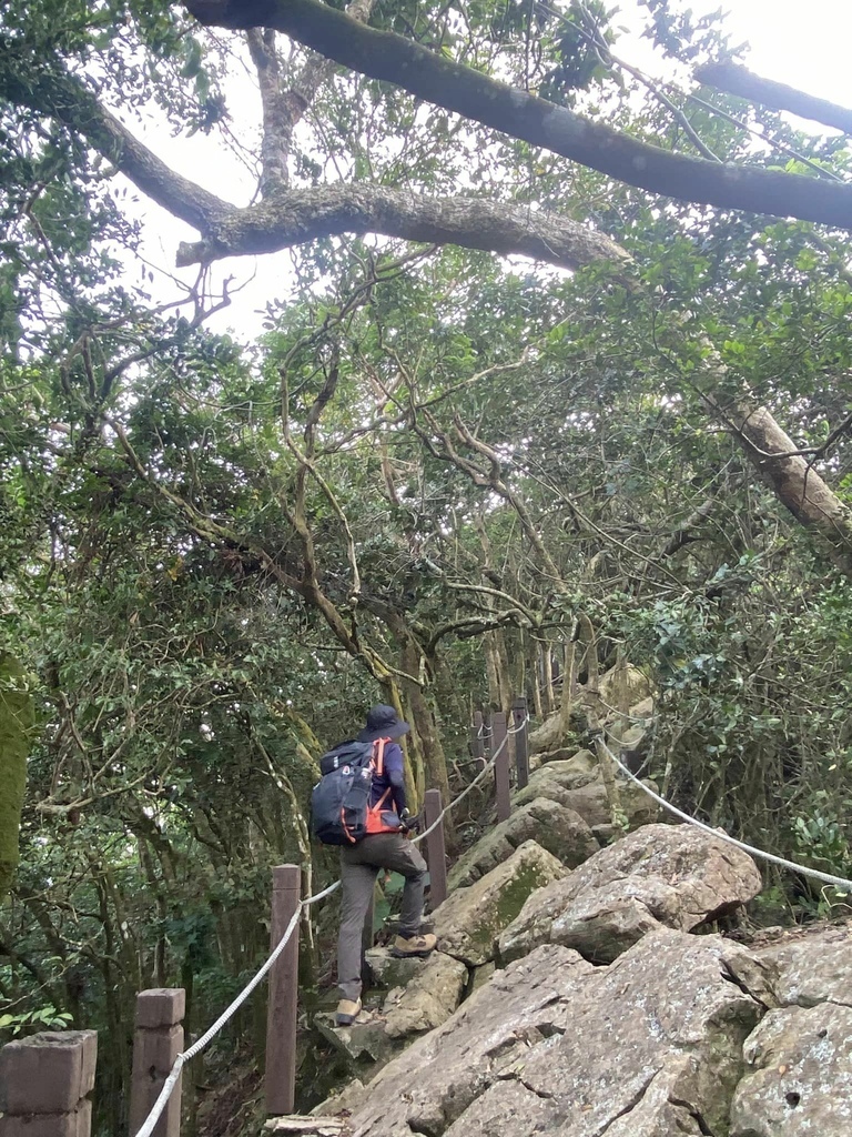 【台南南化】烏山南段:石松子山-紫竹寺-王爺崙山稜線來回