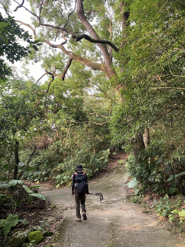 【台南南化】烏山南段:石松子山-紫竹寺-王爺崙山稜線來回