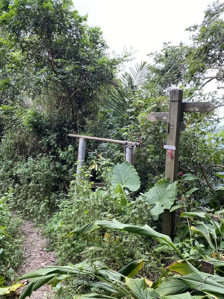 【台南南化】烏山南段:石松子山-紫竹寺-王爺崙山稜線來回