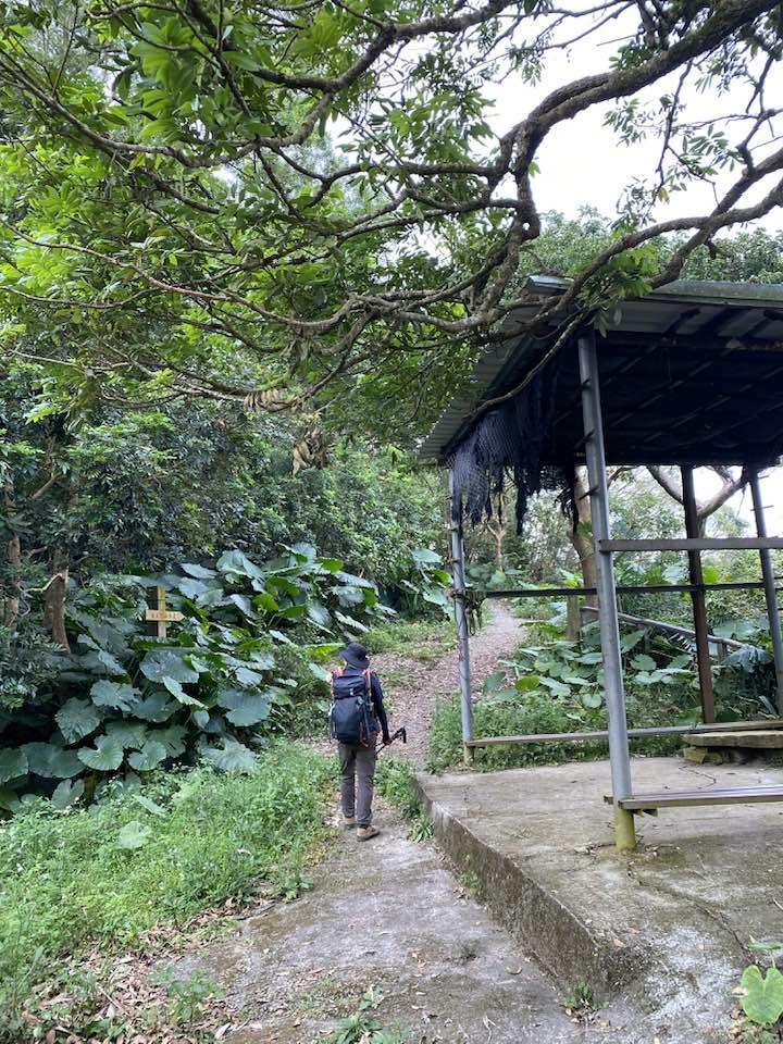 【台南南化】烏山南段:石松子山-紫竹寺-王爺崙山稜線來回