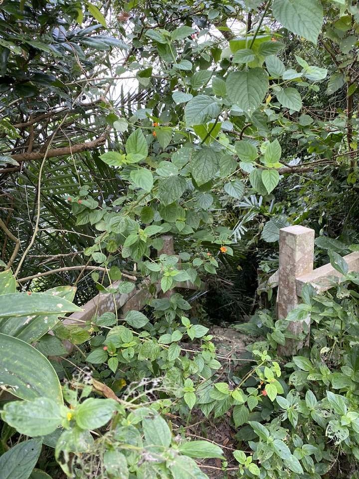 【台南南化】烏山南段:石松子山-紫竹寺-王爺崙山稜線來回