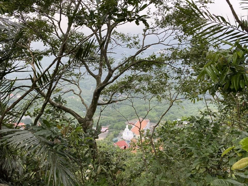 【台南南化】烏山南段:石松子山-紫竹寺-王爺崙山稜線來回