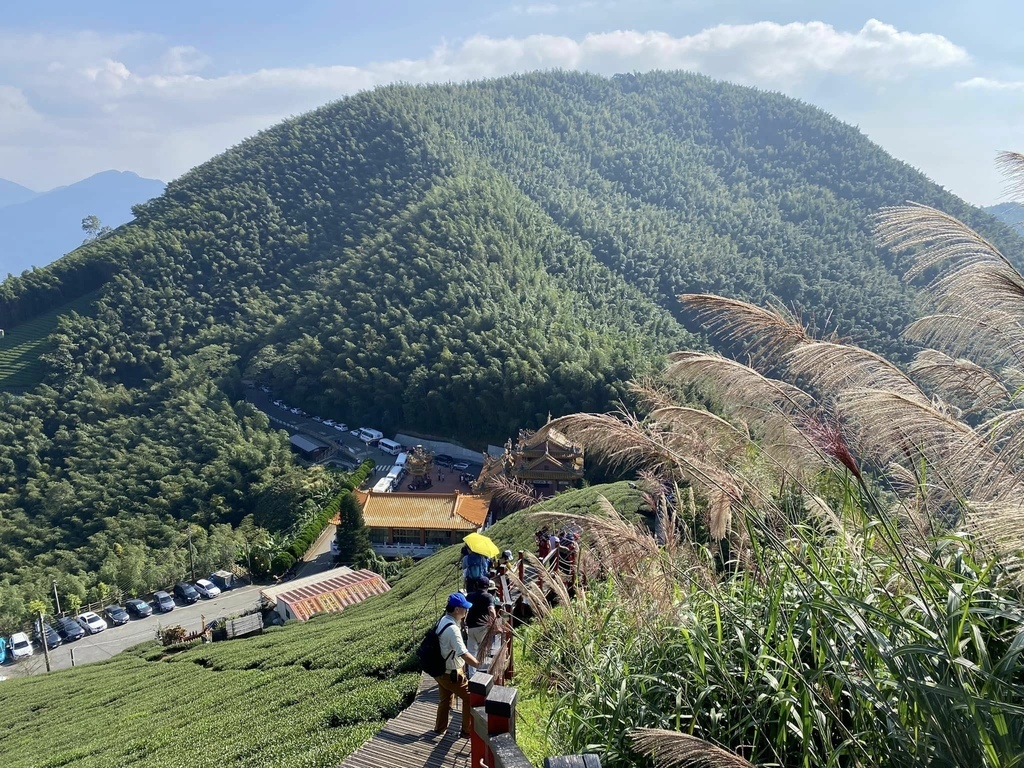 【雲林古坑】華山5號步道-4-2步道-二尖-大尖-大眾廟環線