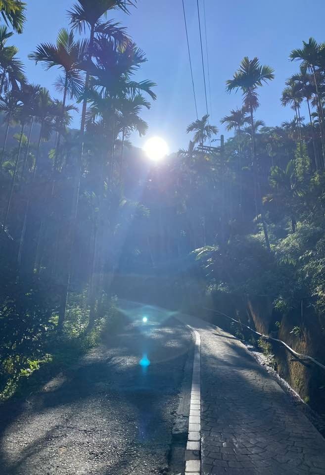 【雲林古坑】華山5號步道-4-2步道-二尖-大尖-大眾廟環線