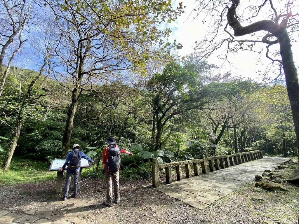 【宜蘭頭城】草嶺古道&桃源谷草嶺線