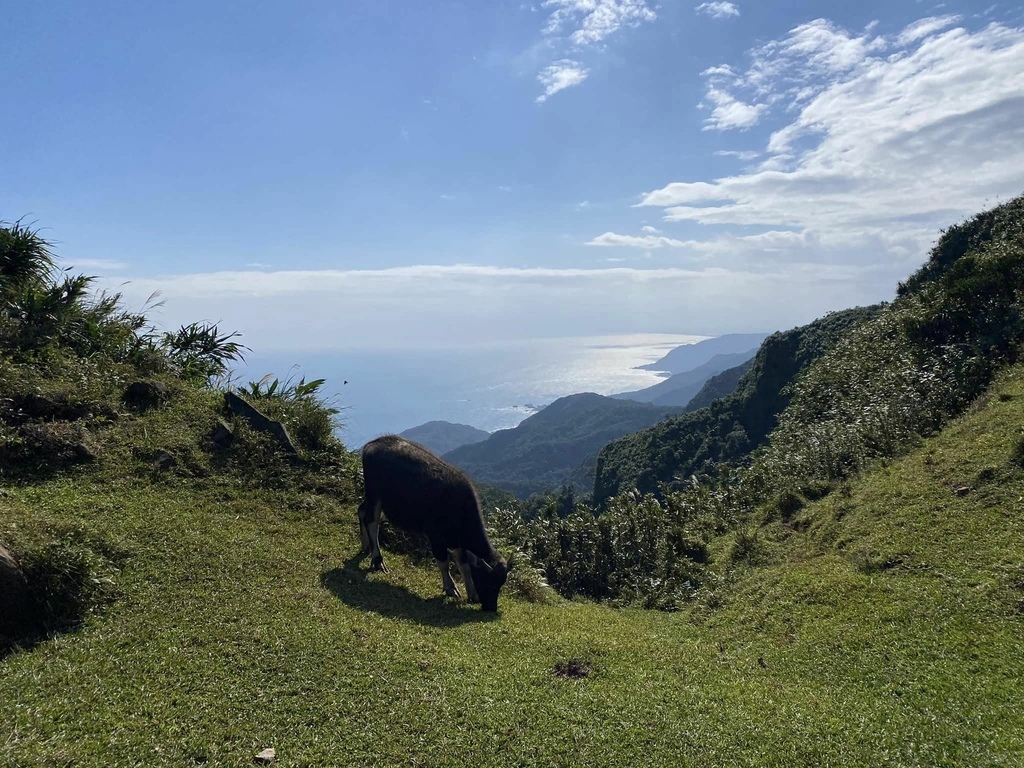 【宜蘭頭城】草嶺古道&桃源谷草嶺線