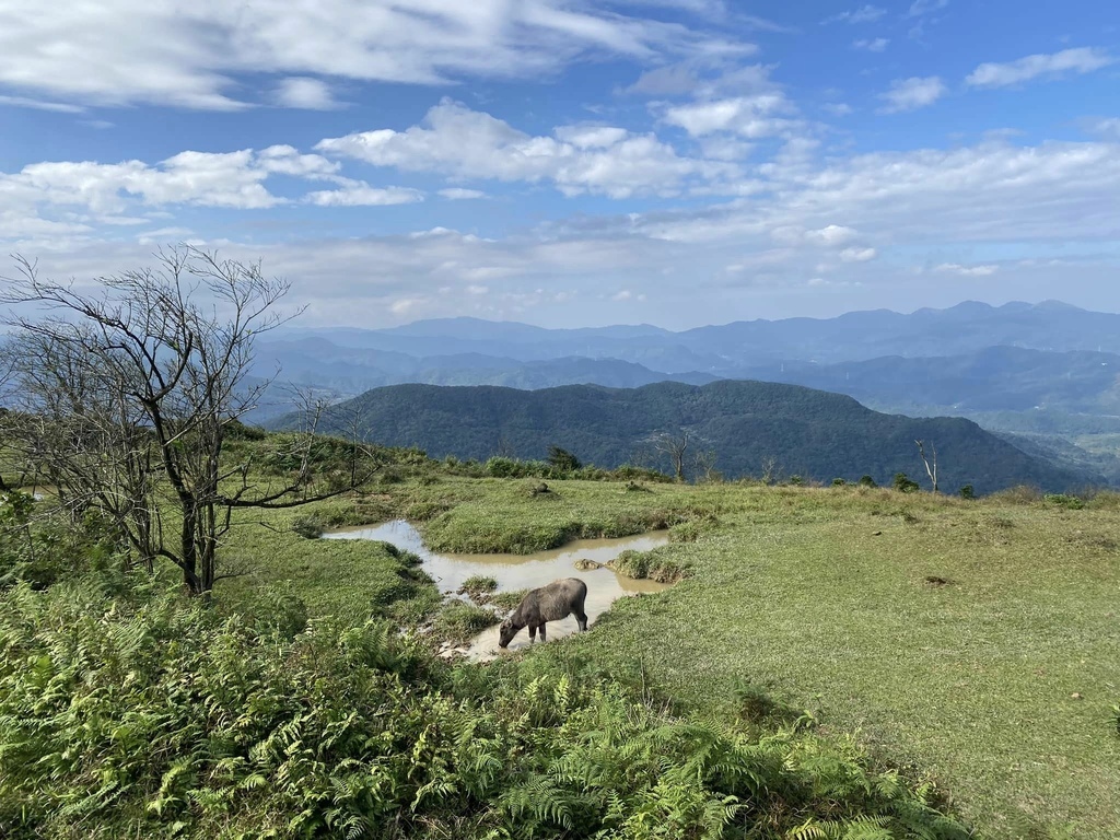 【宜蘭頭城】草嶺古道&桃源谷草嶺線