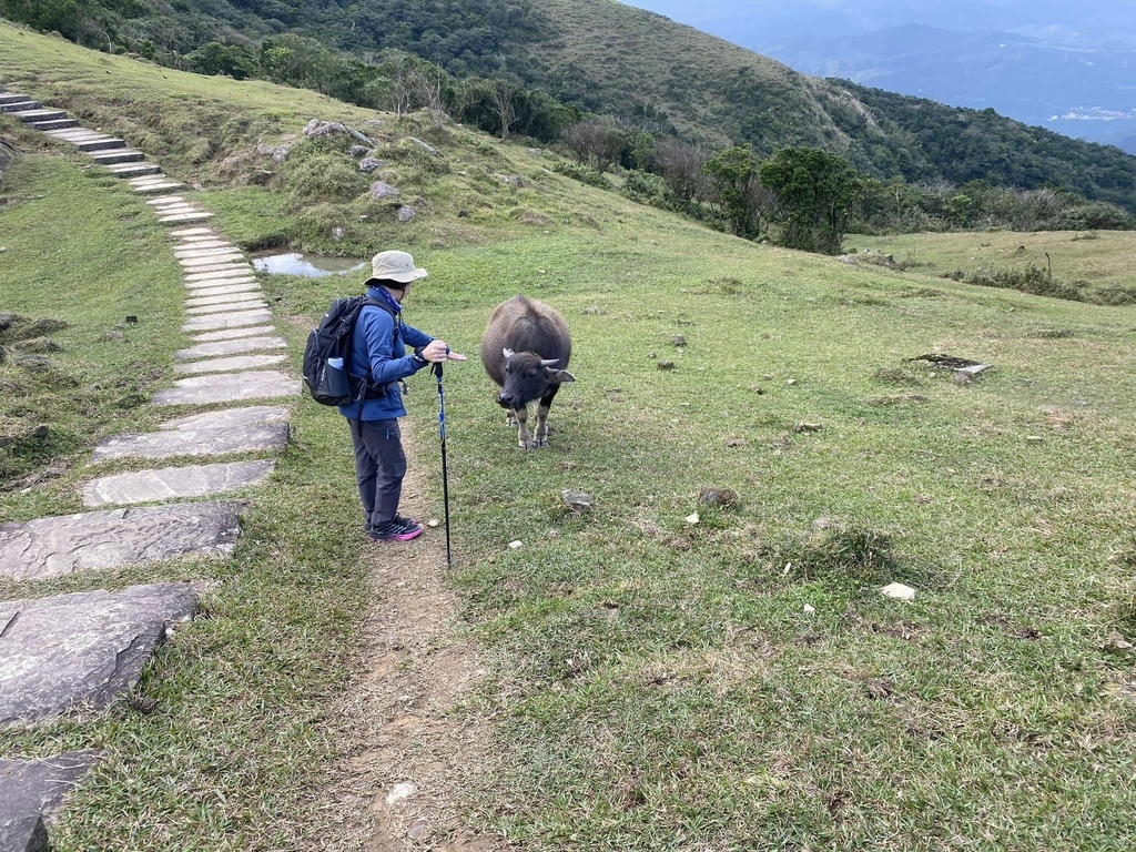 【宜蘭頭城】草嶺古道&桃源谷草嶺線