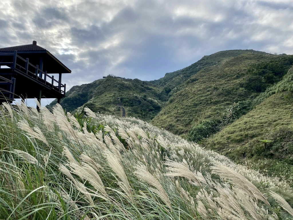 【宜蘭頭城】草嶺古道&桃源谷草嶺線