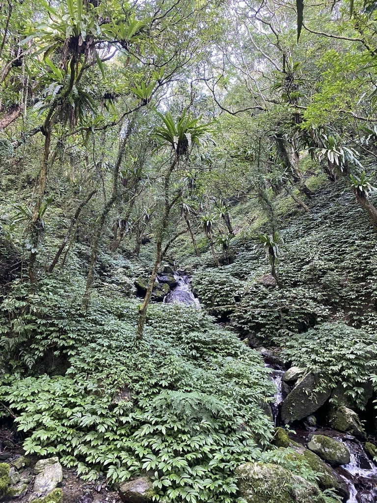 【宜蘭礁溪-新北坪林】聖母登山步道&三角崙山