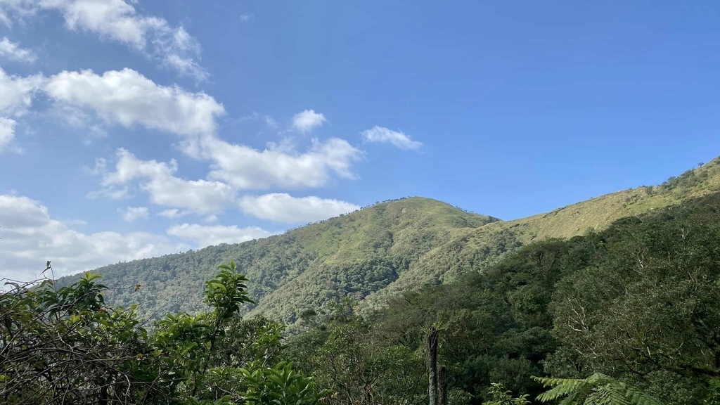 【宜蘭礁溪-新北坪林】聖母登山步道&三角崙山