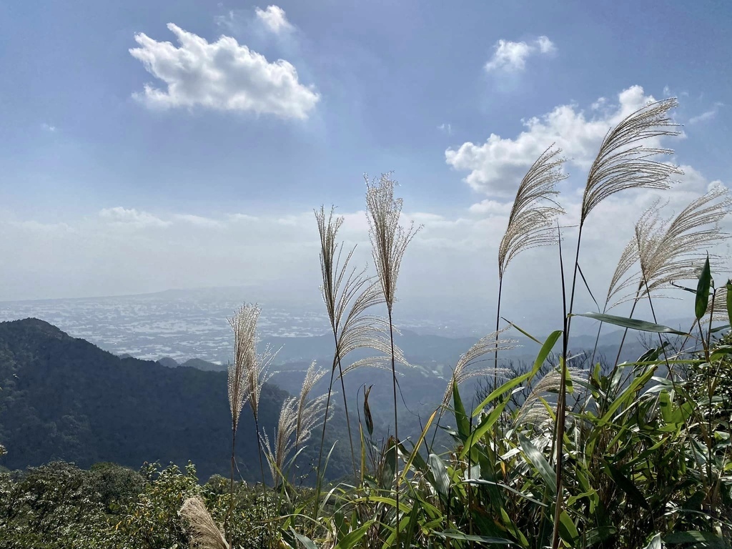 【宜蘭礁溪-新北坪林】聖母登山步道&三角崙山