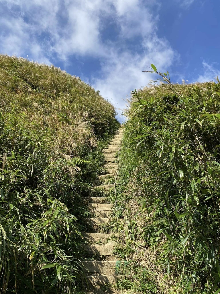 【宜蘭礁溪-新北坪林】聖母登山步道&三角崙山