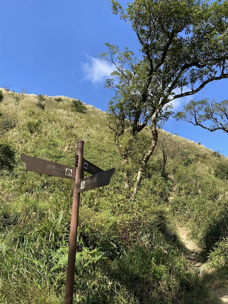 【宜蘭礁溪-新北坪林】聖母登山步道&三角崙山