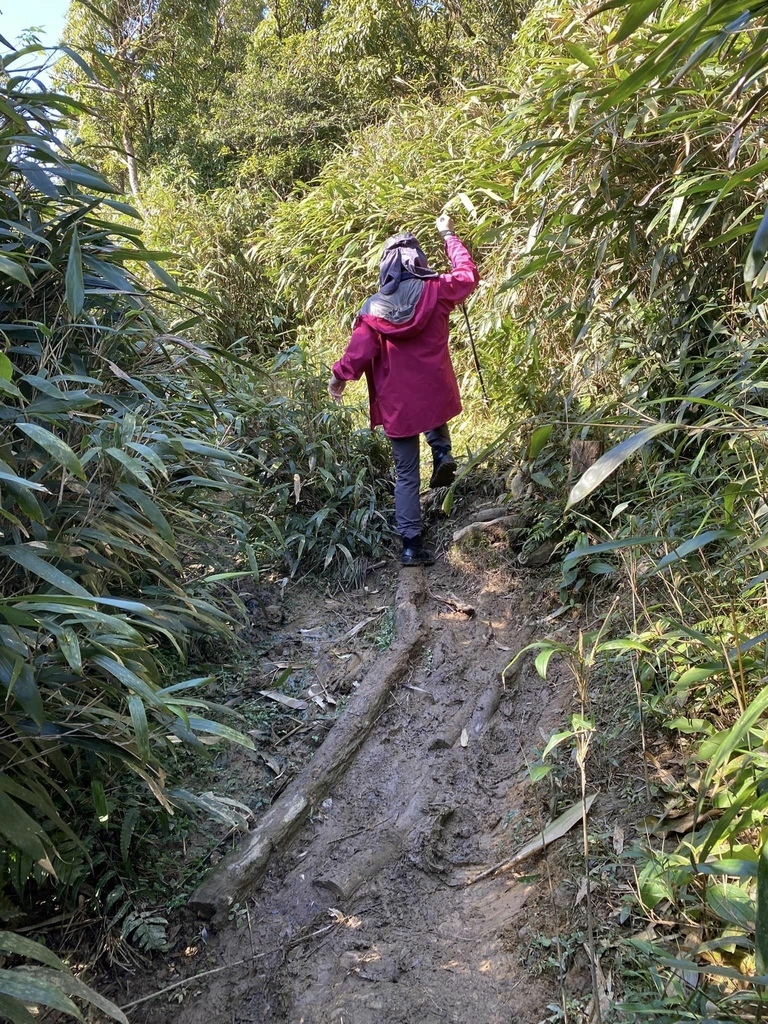 【宜蘭礁溪-新北坪林】聖母登山步道&三角崙山