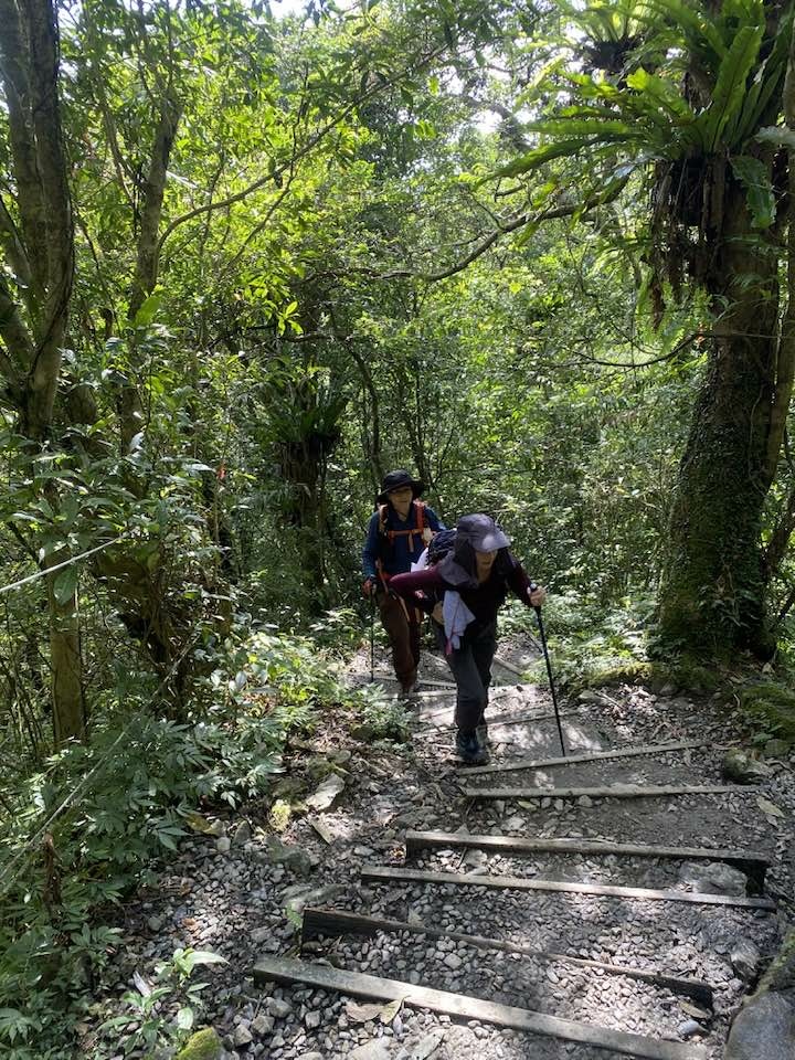 【宜蘭礁溪-新北坪林】聖母登山步道&三角崙山