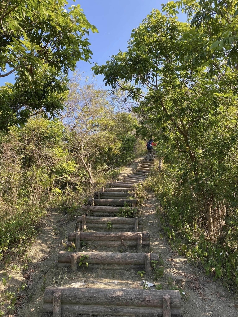 【高雄甲仙】六義山登山步道(紫霞登山口-觀湖平台來回)