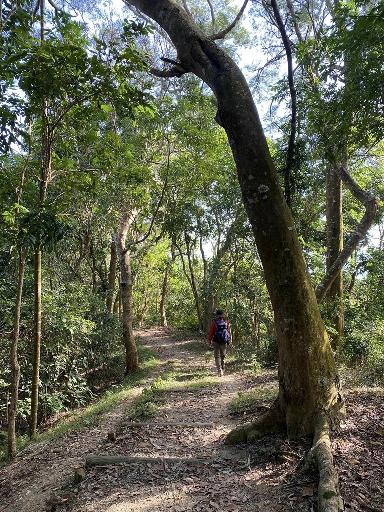 【高雄甲仙】六義山登山步道(紫霞登山口-觀湖平台來回)