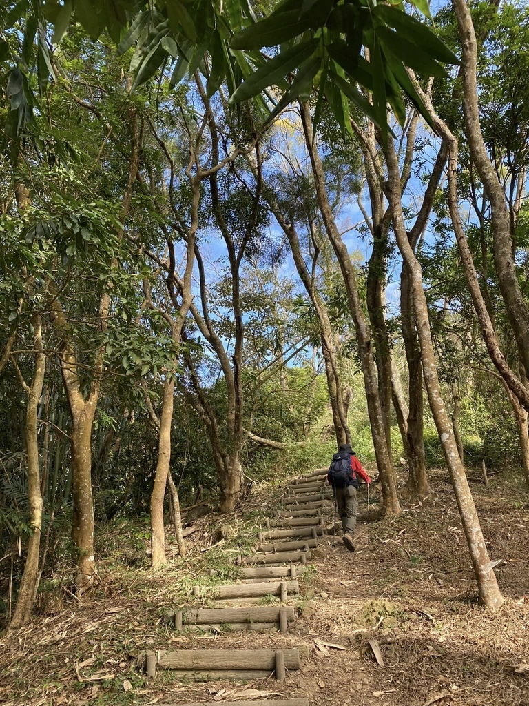 【高雄甲仙】六義山登山步道(紫霞登山口-觀湖平台來回)