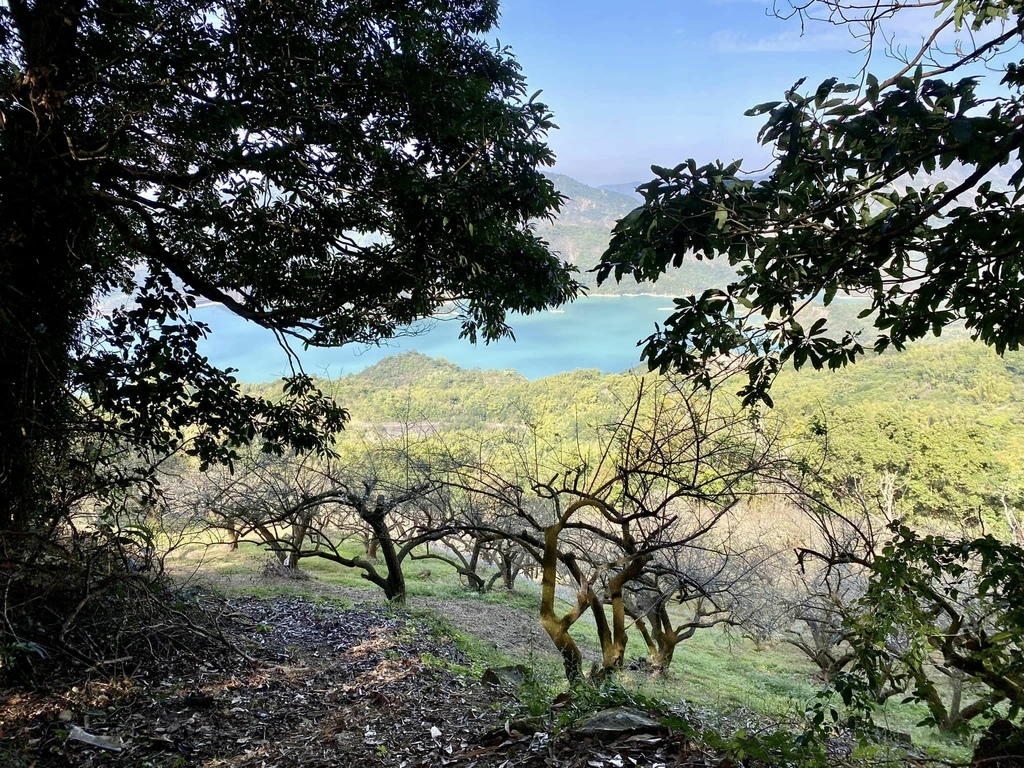 【高雄甲仙】六義山登山步道(紫霞登山口-觀湖平台來回)