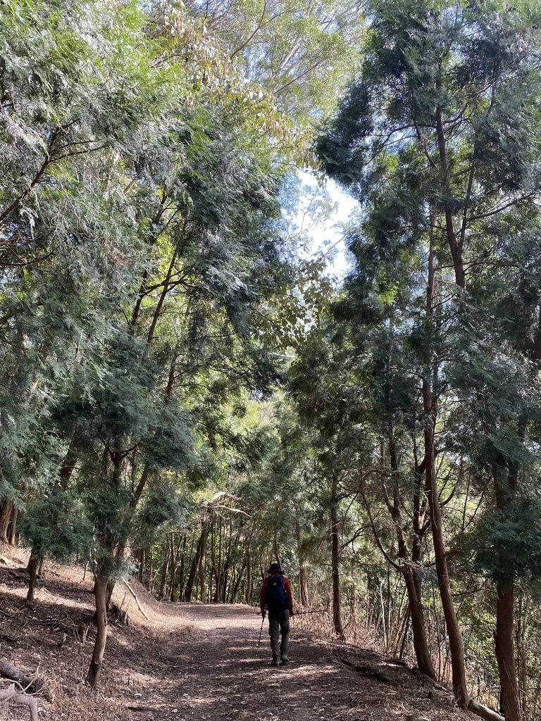 【高雄甲仙】六義山登山步道(紫霞登山口-觀湖平台來回)