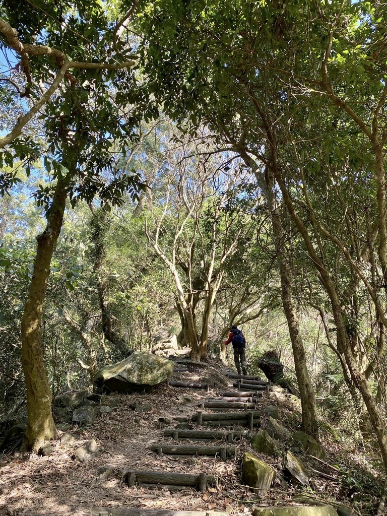 【高雄甲仙】六義山登山步道(紫霞登山口-觀湖平台來回)