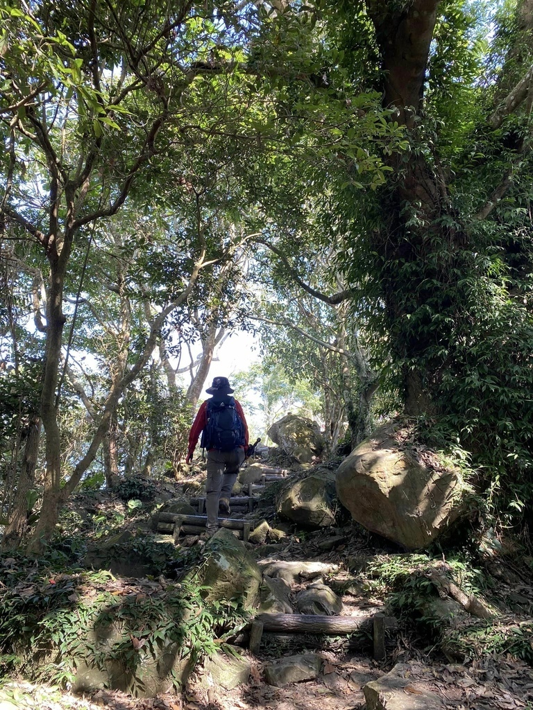 【高雄甲仙】六義山登山步道(紫霞登山口-觀湖平台來回)