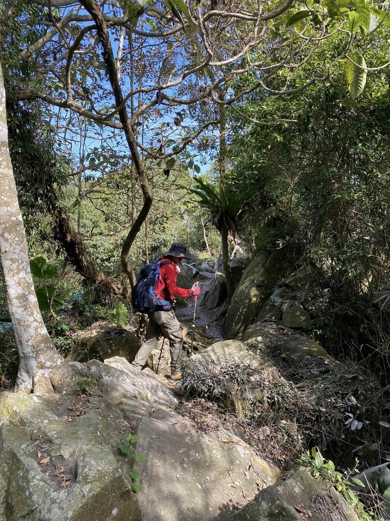 【高雄甲仙】六義山登山步道(紫霞登山口-觀湖平台來回)