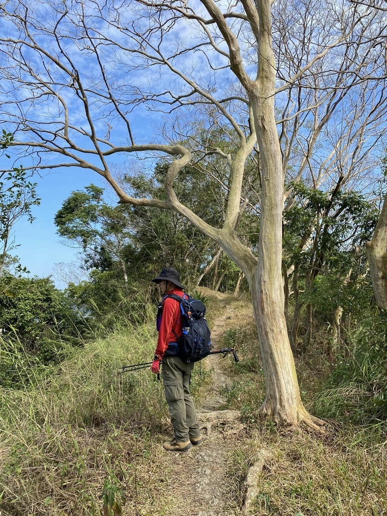 【高雄甲仙】六義山登山步道(紫霞登山口-觀湖平台來回)