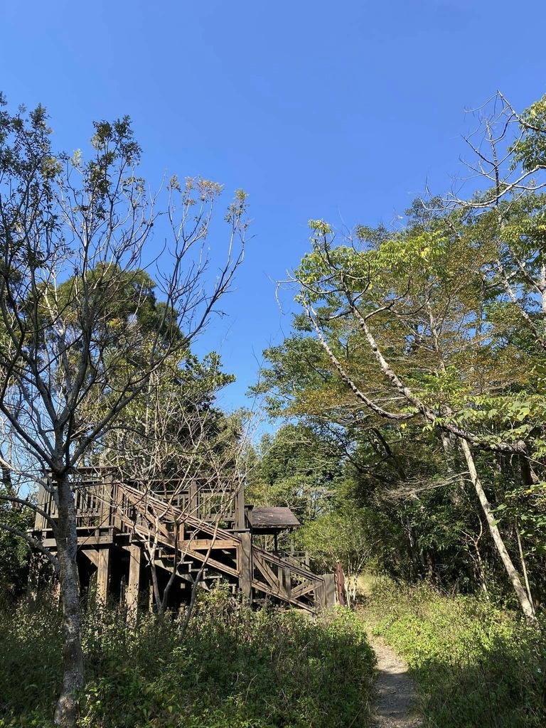 【高雄甲仙】六義山登山步道(紫霞登山口-觀湖平台來回)