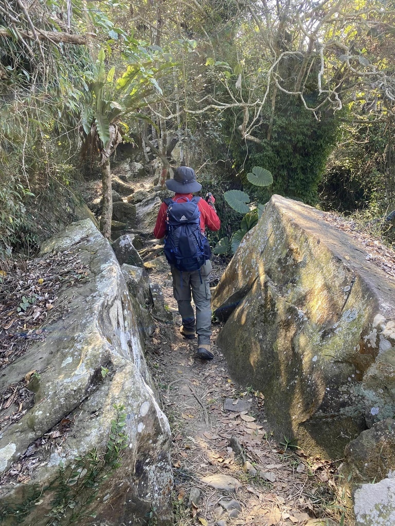 【高雄甲仙】六義山登山步道(紫霞登山口-觀湖平台來回)