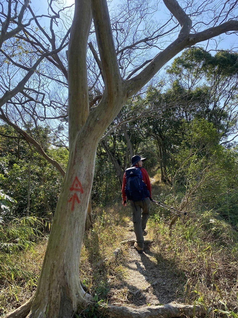 【高雄甲仙】六義山登山步道(紫霞登山口-觀湖平台來回)