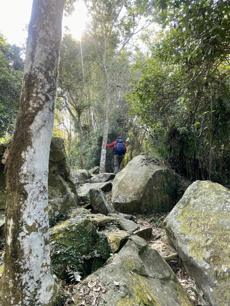 【高雄甲仙】六義山登山步道(紫霞登山口-觀湖平台來回)