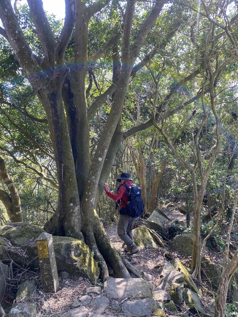 【高雄甲仙】六義山登山步道(紫霞登山口-觀湖平台來回)