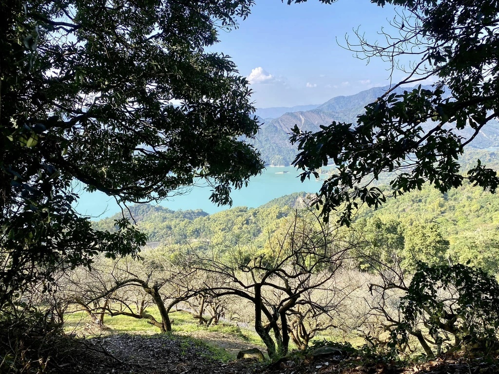 【高雄甲仙】六義山登山步道(紫霞登山口-觀湖平台來回)