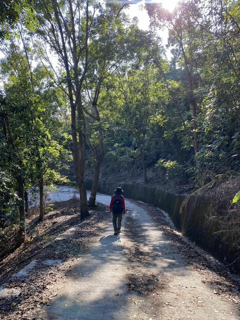 【高雄甲仙】六義山登山步道(紫霞登山口-觀湖平台來回)