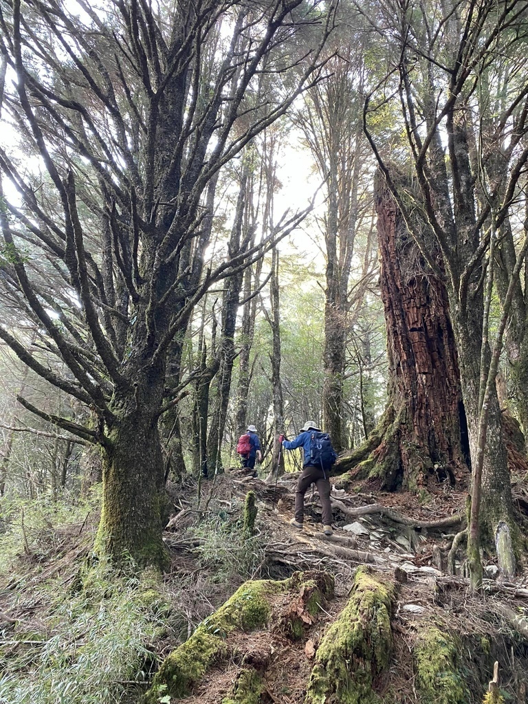 【高雄桃源】二訪塔關山