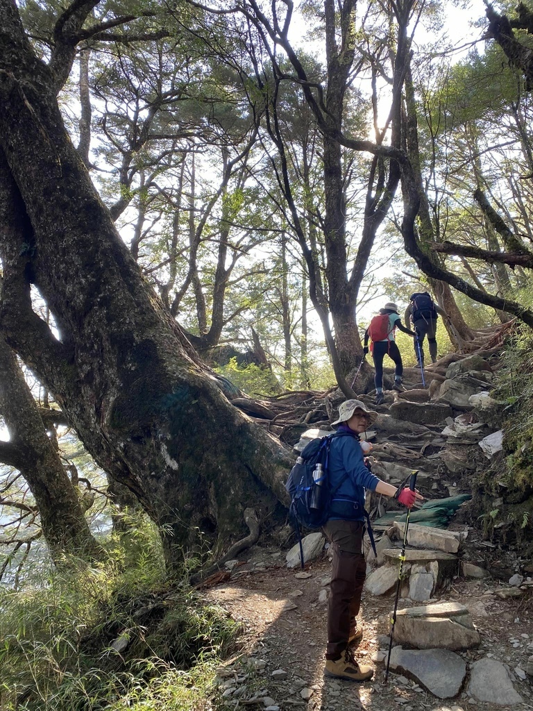 【高雄桃源】二訪塔關山