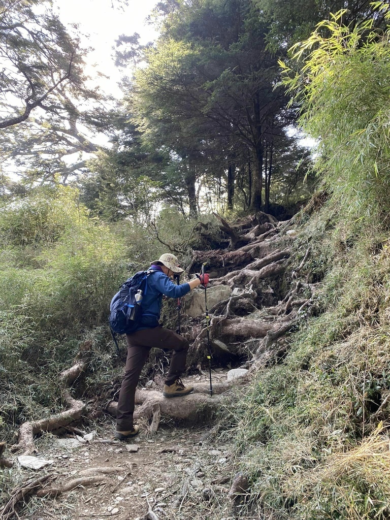 【高雄桃源】二訪塔關山