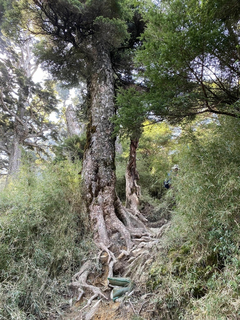 【高雄桃源】二訪塔關山