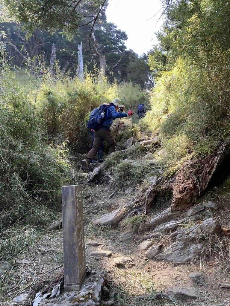 【高雄桃源】二訪塔關山