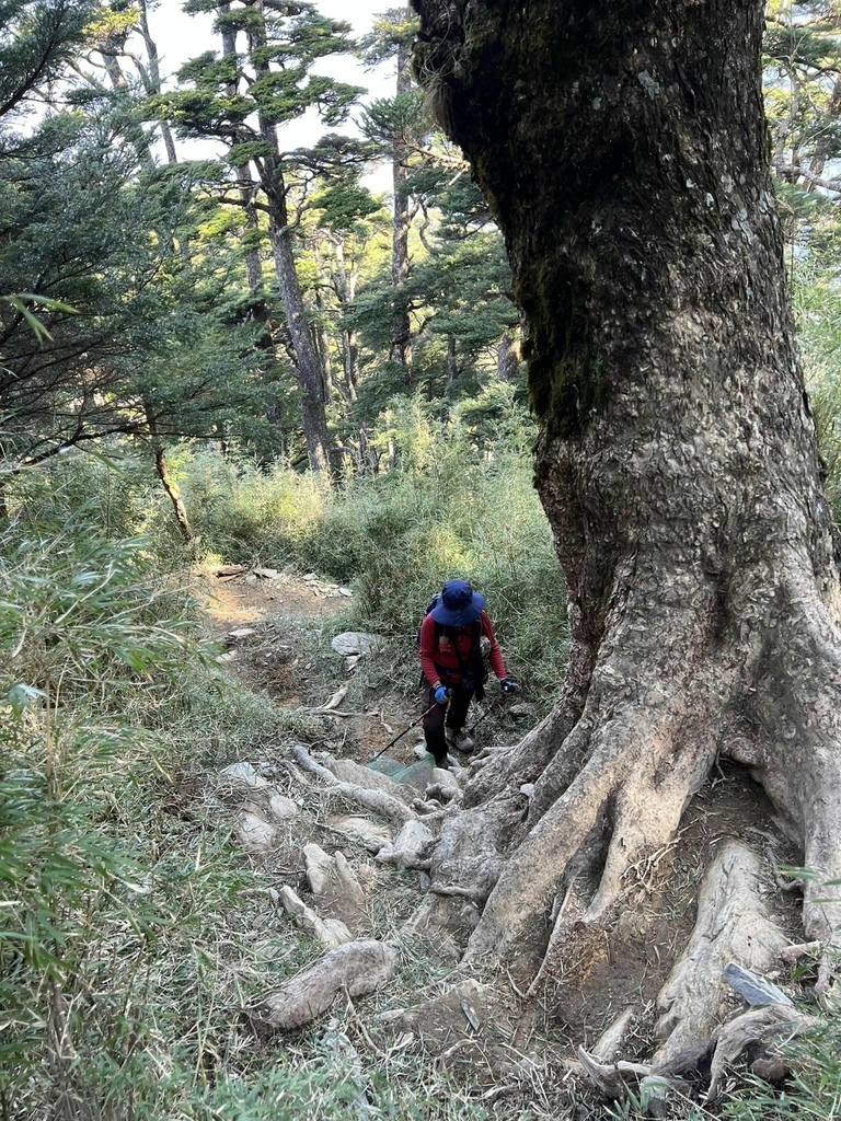 【高雄桃源】二訪塔關山