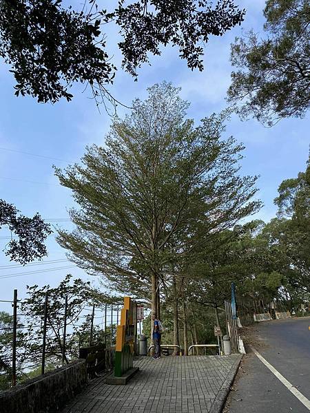 【彰化-南投】橫山觀日步道