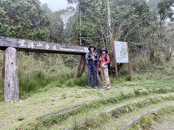 【宜蘭大同】太平山國家森林遊樂區之望洋山步道