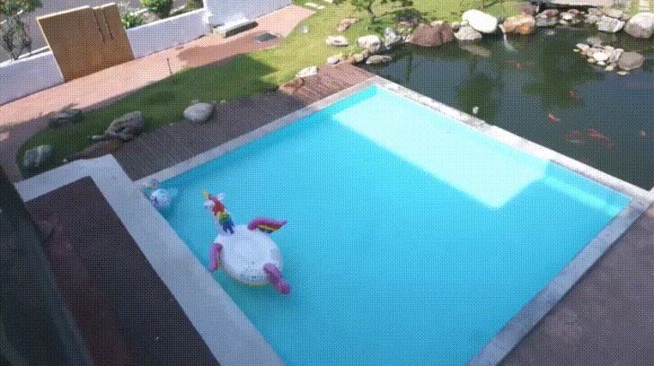 3AnMip6 - Imgur.gif 3AnMip6 - Imgur.gif