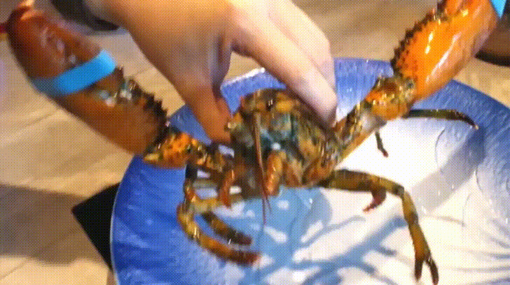 GEvlMkq - Imgur.gif GEvlMkq - Imgur.gif