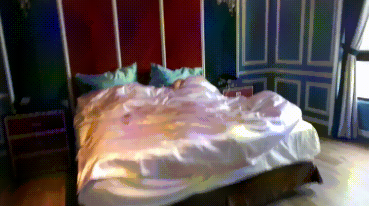 PyPmLz4 - Imgur.gif PyPmLz4 - Imgur.gif