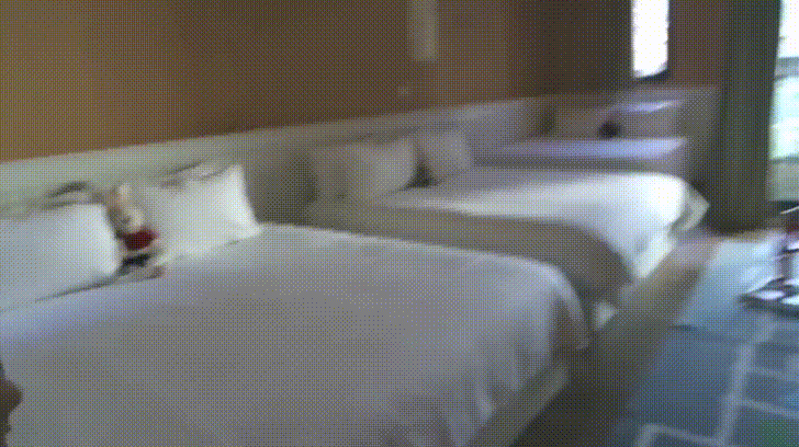 6kN88Bi - Imgur.gif 6kN88Bi - Imgur.gif