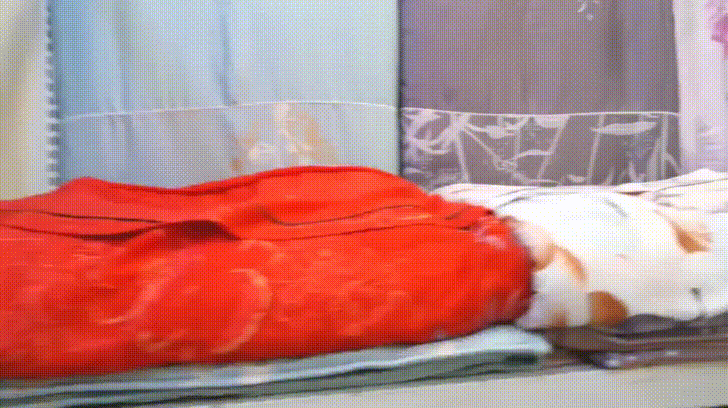 yn8SZSf - Imgur.gif yn8SZSf - Imgur.gif