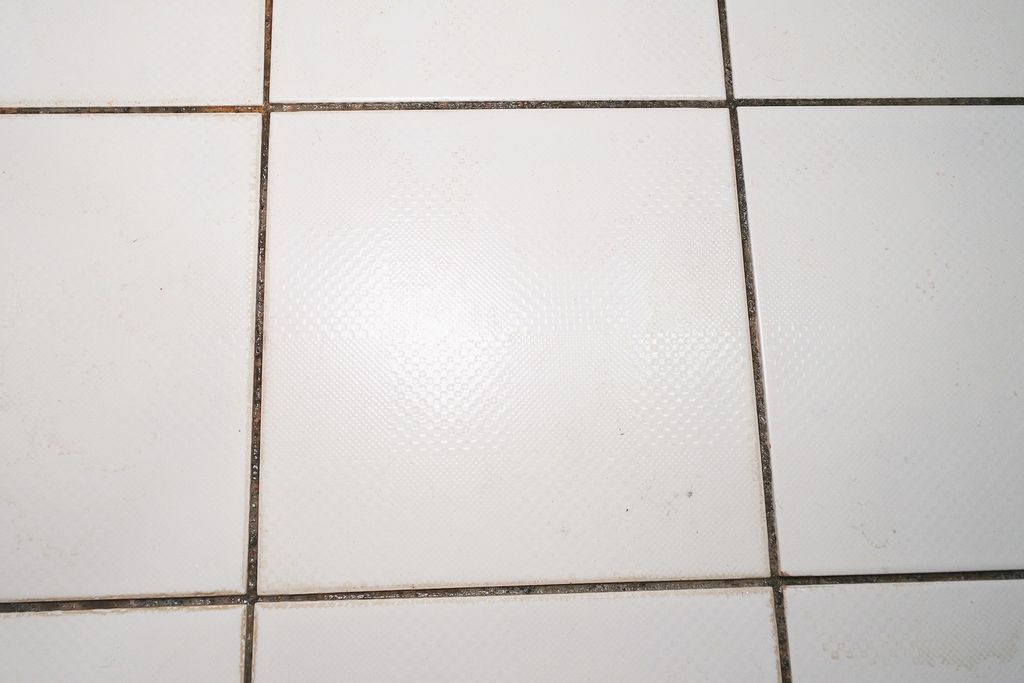 SAM_3073.JPG SAM_3073.JPG
